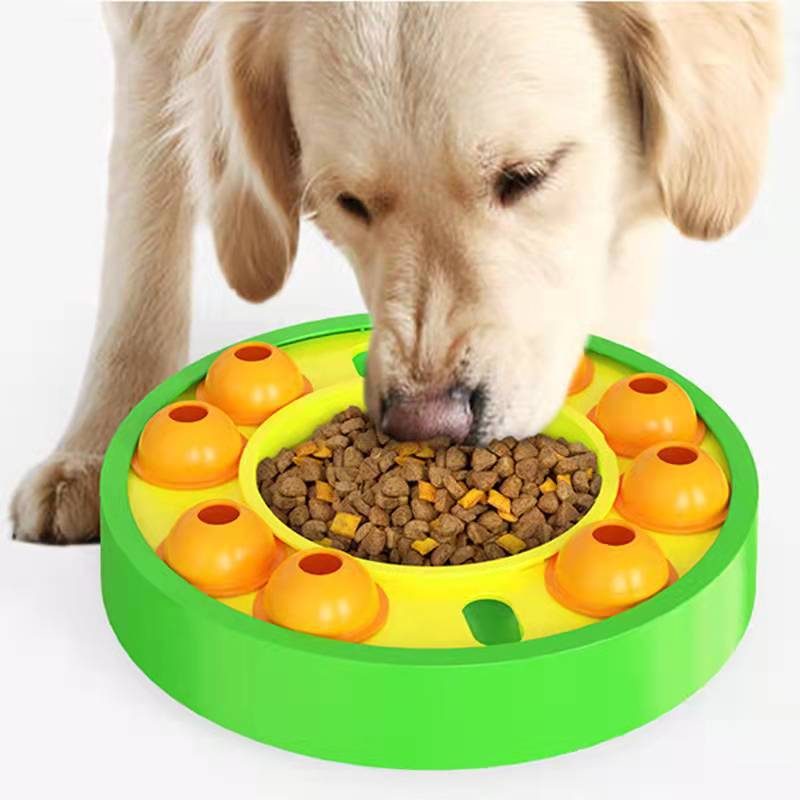 Interactive Dog Puzzle Slow Feeder Bowl