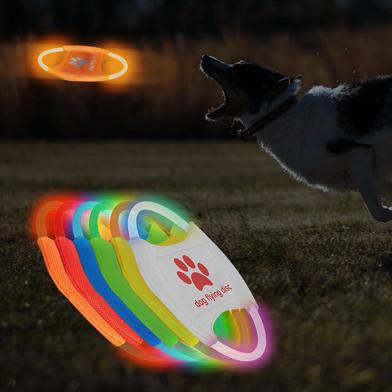 LED Glow Flying Disc Dog Toy