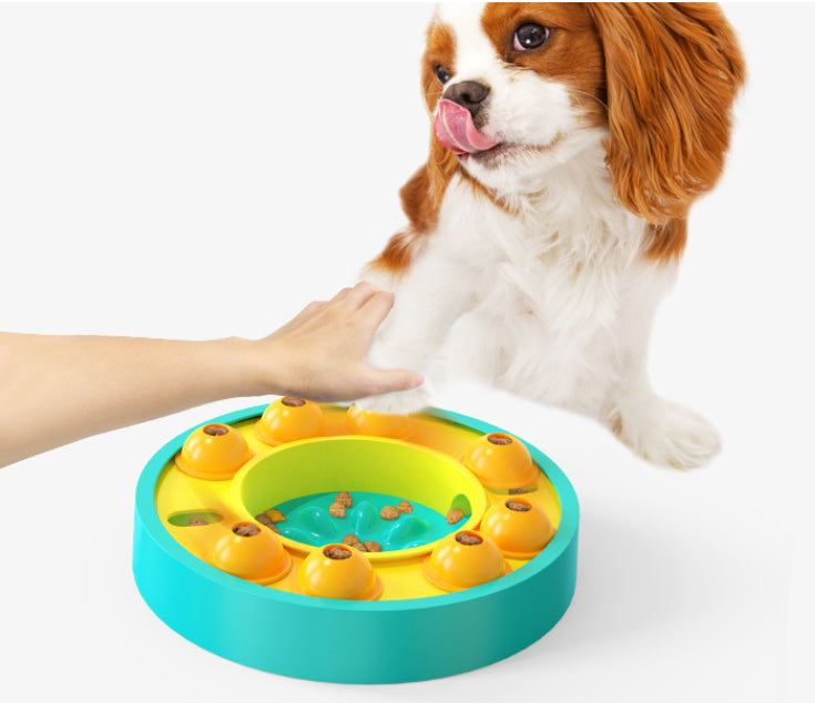 Interactive Dog Puzzle Slow Feeder Bowl