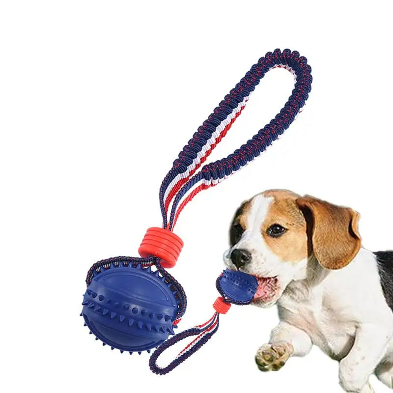 Interactive Dog Chew Ball Toy with Rope