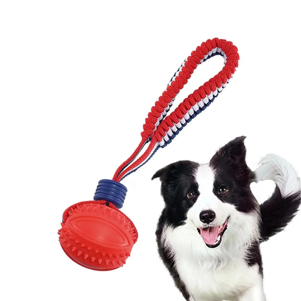 Interactive Dog Chew Ball Toy with Rope