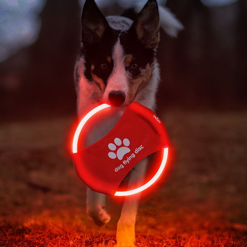 LED Glow Flying Disc Dog Toy