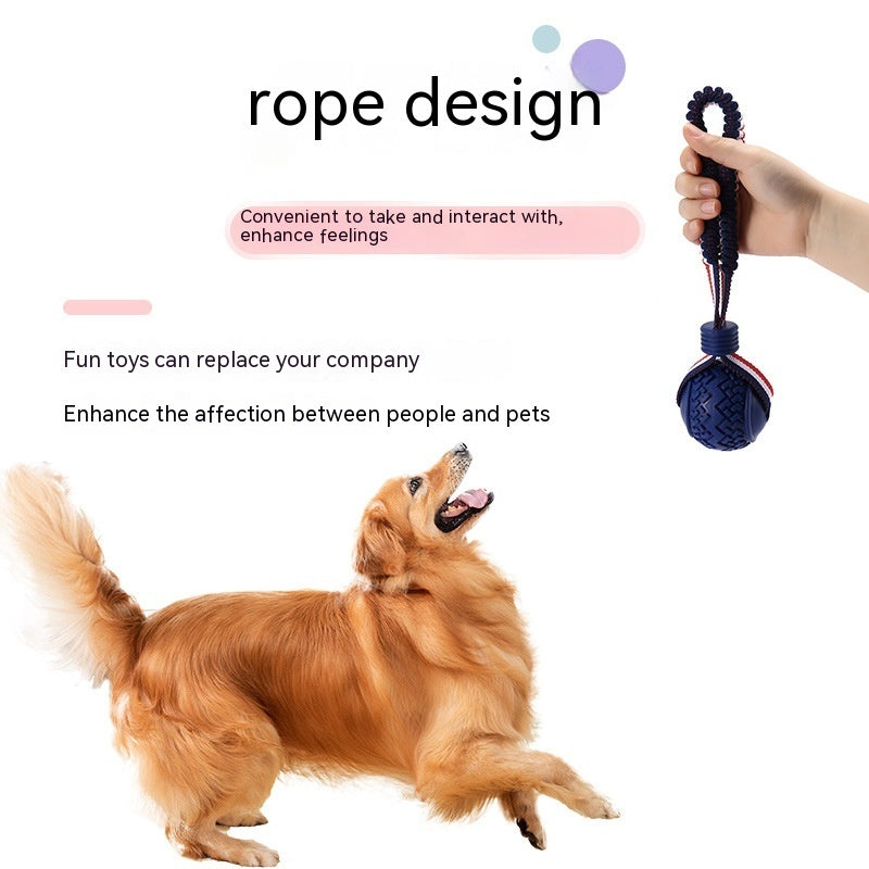 Interactive Dog Chew Ball Toy with Rope