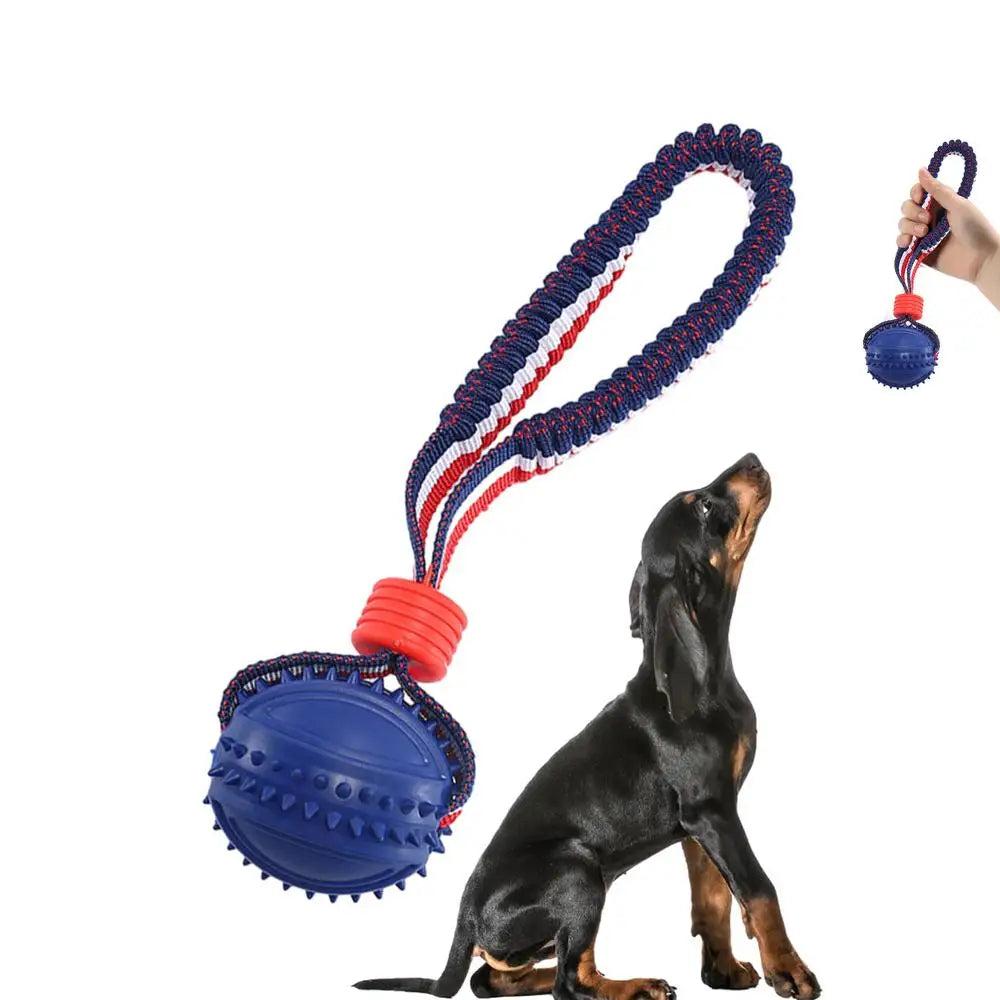 Interactive Dog Chew Ball Toy with Rope