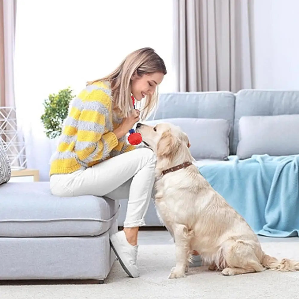 Interactive Dog Chew Ball Toy with Rope