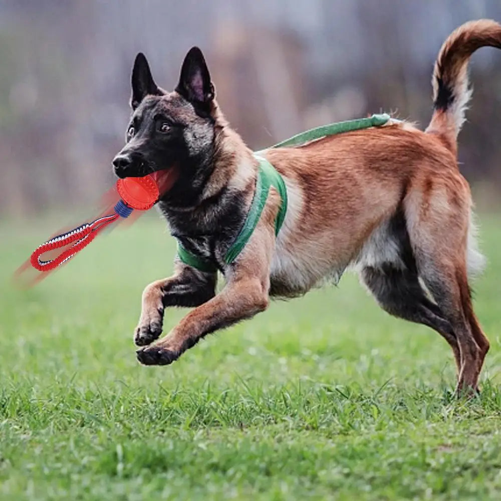 Interactive Dog Chew Ball Toy with Rope